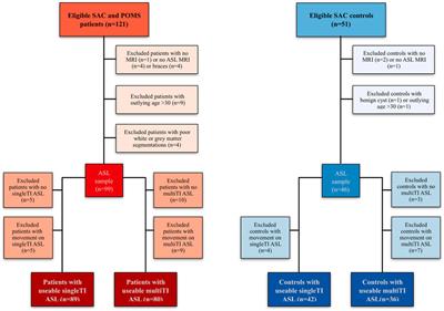 Individual Watershed Areas in Sickle Cell Anemia: An Arterial Spin Labeling Study